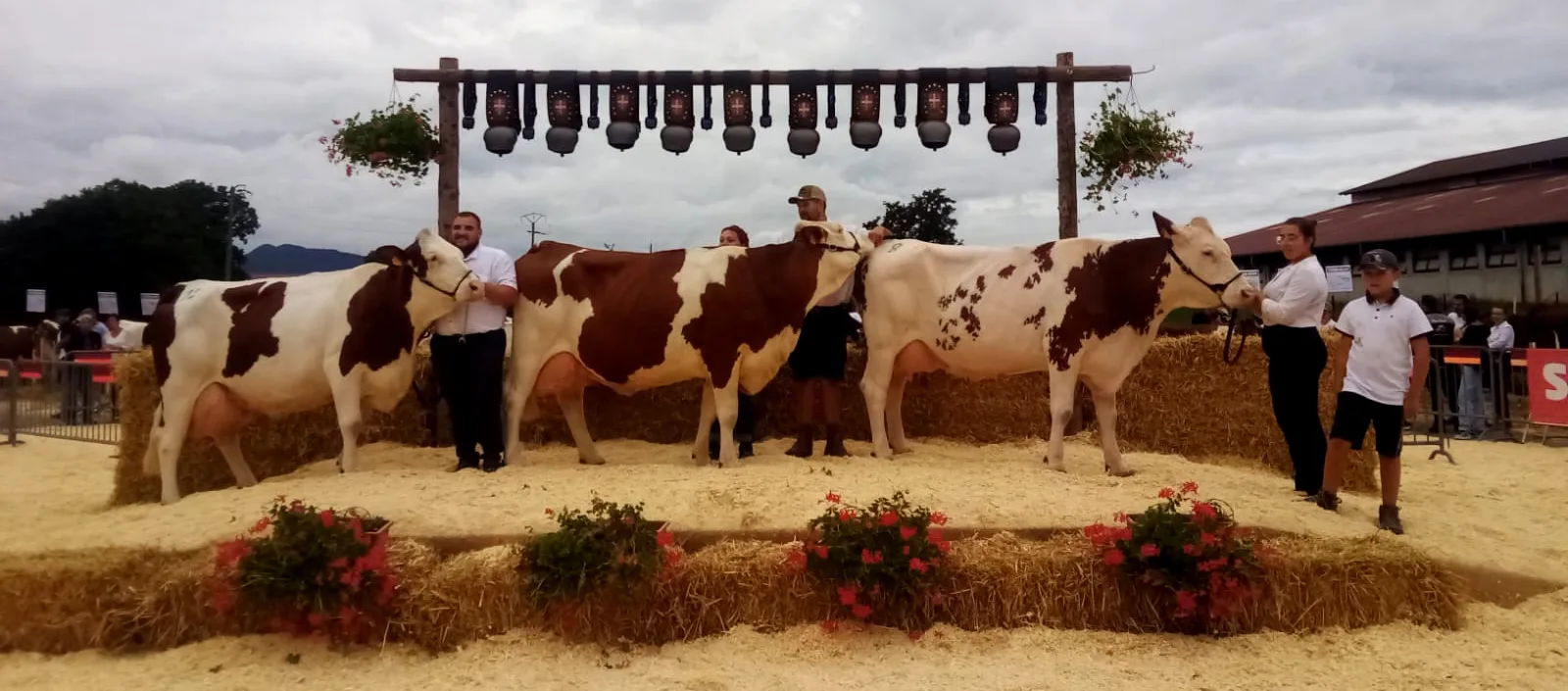 Materiali Selleria Le Cuir